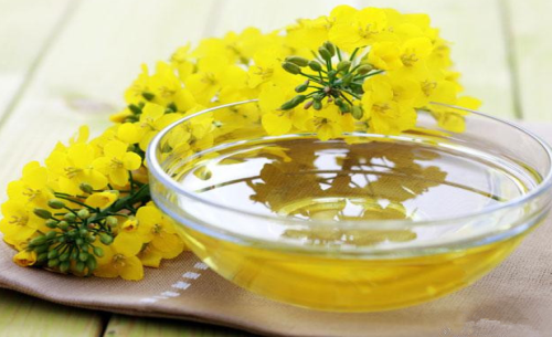 菜油期貨手續(xù)費標(biāo)準(zhǔn)，怎么降低菜油