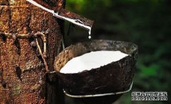 橡膠上漲仍可期，焦炭期現(xiàn)聯(lián)動(dòng)，向