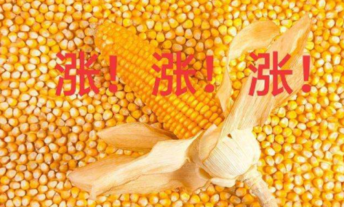 玉米期貨開戶要驗(yàn)資嗎？為何不能買