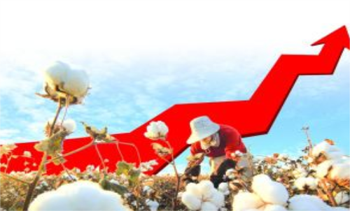 棉花期貨價格變化和哪些因素有關(guān)？