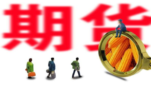 新手投資者怎么買玉米期貨？