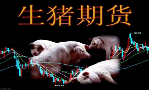 生豬期貨的作用和交易規(guī)則有哪些？