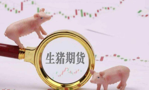 生豬期貨未來(lái)走勢(shì)將會(huì)如何？生豬期