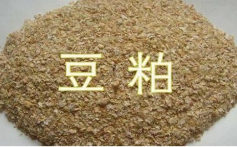 期貨豆粕和菜粕的關聯(lián)性，菜粕豆粕